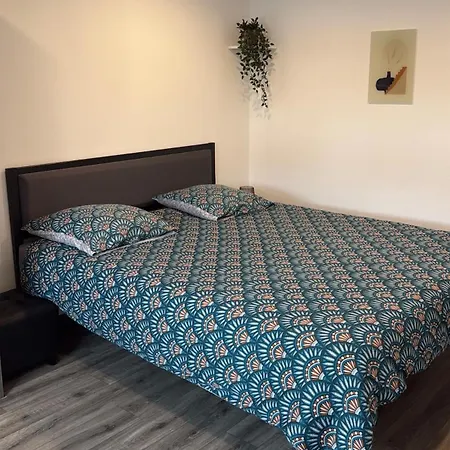 Elegant Duplex Au 3 Frontieres *